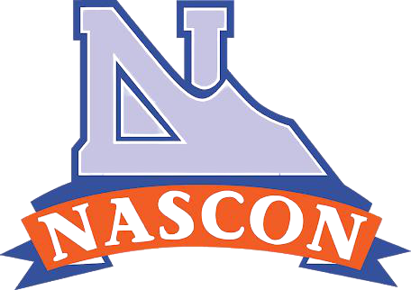 Nascon - Dangote Salt